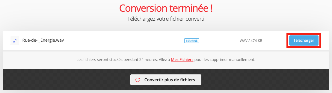 Capture d'écran de la conversion du fichier réussi