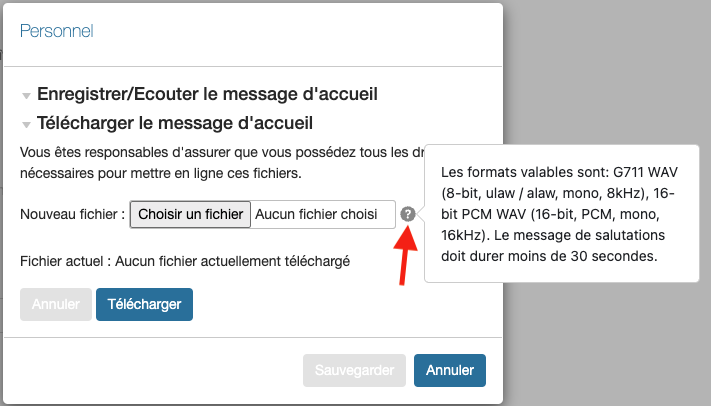 Capture d'écran de l'indication au bon format audio demander